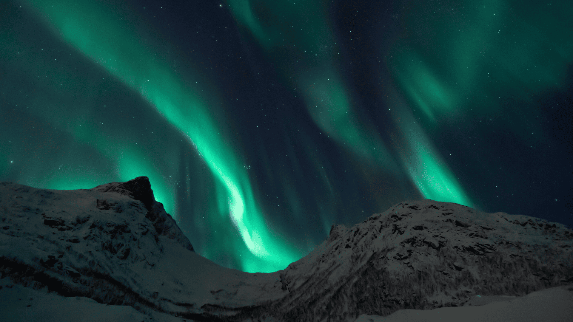 8 Days Arctic Norway Winter Holiday Adventure